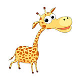 Cute funny giraffe