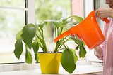 Woman pouring plant with water can.
