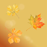 Illustration with falling autumn leaves on a gold background. Vector Illustration