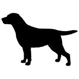 Black and white silhouette of dog labrador