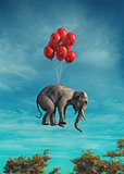  Conceptual image of an elephant flying 