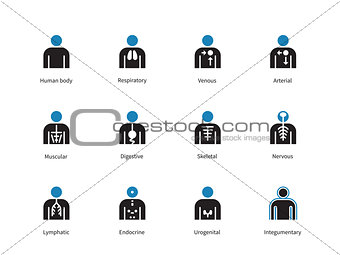 Medical infographic duotone icons on white background.