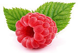 Single raspberry fruit with green leaves isolated on white