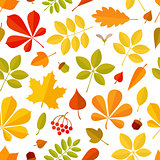 Seamless pattern Autumn falling leaf isolated on white background.