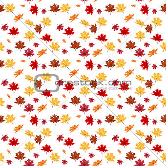 Seamless Pattern From Natural Maple Leaves. Vector Illustration.