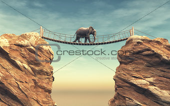 An elephant goes on a wooden bridge 