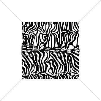 Zebra square texture fabric style vector for tattoo, T-shirts, logo