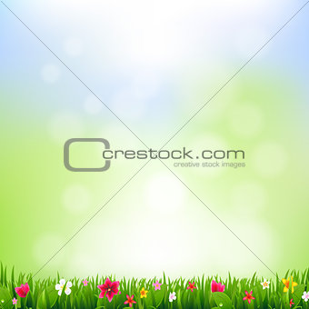 Grass And Flowers And Bokeh