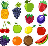Set of fruit 