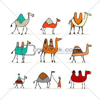 Camel set, sketch for your design