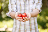 Young agronomist in plaid shirt with cherry tomatoes in hands
