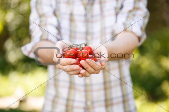 Young agronomist in plaid shirt with cherry tomatoes in hands