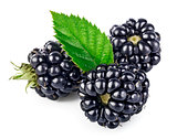 Berry blackberry with green leaf fresh fruit