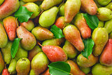 Background of ripe juicy organic farm pears