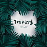 Dark green minimalistic vector design with exotic royal palm leaves.