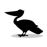 Pelican bird black silhouette animal