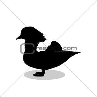 Mandarin bird Aix galericulata black silhouette animal