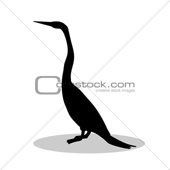 Snakebird anhinga black silhouette bird animal