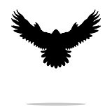 Falcon bird black silhouette animal
