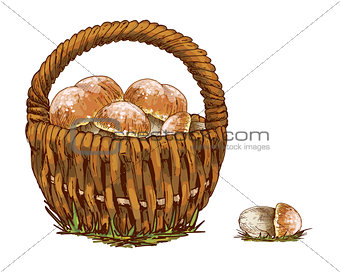 Wicker basket full of orange cap boletus isolated on white background. Vector Illustration