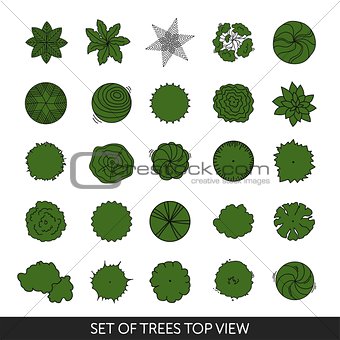 Set of trees. Top view