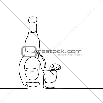 Tekila bottle and glass isolated