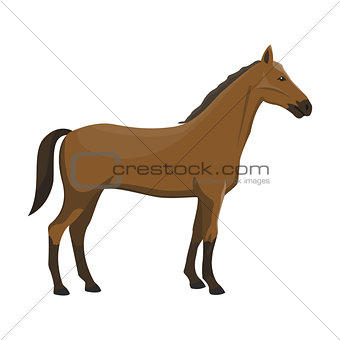 Vector illustration of a horse.
