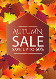 Autumn sale poster, flyer template.