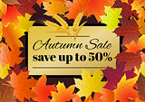 Autumn sale poster, flyer, card template with typography. Bright fall maple leaves, spica, rowanberry.