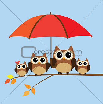 Vector Owl Family