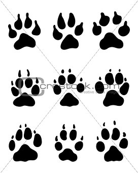 print of paw of dogs
