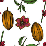 Vector seamless pattern of cocoa beans