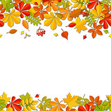 Seamless border autumn falling leaf isolated on white background.