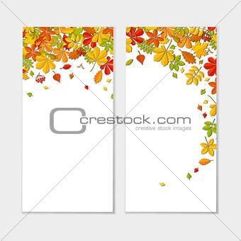 Banner set with Autumn falling leaf isolated on white background.