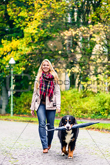 Dog carrying umbrella of his mom in autumn walk