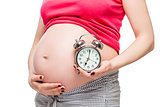 big pregnant belly and alarm clock closeup isolated on white bac