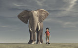 The boy goes and a big elephan