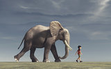 The boy goes and a big elephant