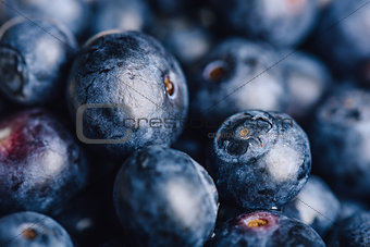 Blueberry Macro Background