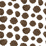 Fir cones seamless vector white background pattern.