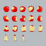 Stages of eating apple, sketch for your design