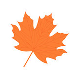 Maple leaf icon, flat, cartoon style. Isolated on white background. Vector illustration.