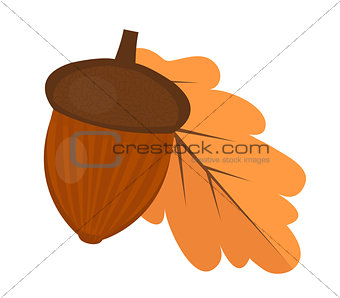 Oak acorn is flat or cartoon style. Isolated on white background. Vector illustration.