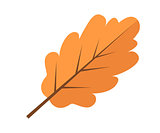 Oak yellow autumn leaf icon flat style. Isolated on white background. Vector illustration.