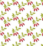 Rosehip seamless pattern. Hawthorn endless background. Red autumn berries repeating texture. Vector illustration.