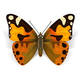 Vector Orange Butterfly