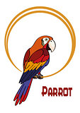 Cartoon Parrot on the Ring