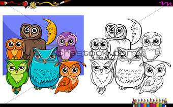 owls bird characters group coloring book