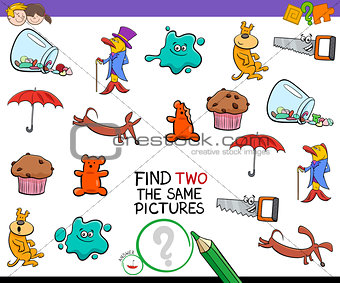 find two identical pictures activity game