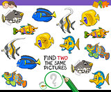 find two the same pictures activity game